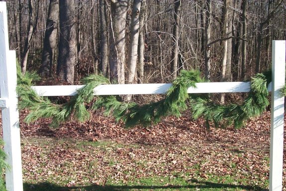 Garland